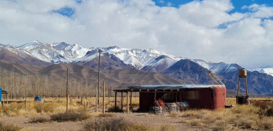 ¡¡VENTA DE ENCANTADORAS CASAS, SAN ALBERTO- USPALLATA, MENDOZA!!