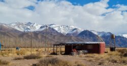 ¡Encantadoras casas en Venta! Uspallata, San Alberto – Mendoza