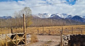 ¡Encantadoras casas en Venta! Uspallata, San Alberto – Mendoza