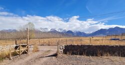 ¡Encantadoras casas en Venta! Uspallata, San Alberto – Mendoza