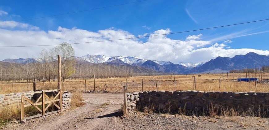 ¡Encantadoras casas en Venta! Uspallata, San Alberto – Mendoza