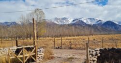 ¡¡VENTA DE ENCANTADORAS CASAS, SAN ALBERTO- USPALLATA, MENDOZA!!