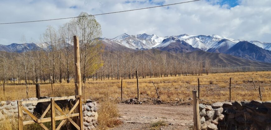 ¡¡VENTA DE ENCANTADORAS CASAS, SAN ALBERTO- USPALLATA, MENDOZA!!