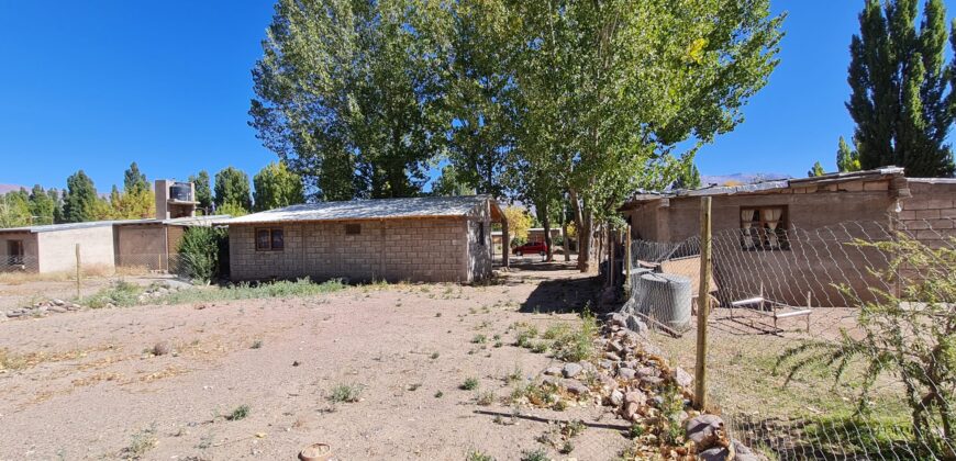 ¡¡ VENTA, CASA ACOGEDORA, Bº PANELLA – USPALLATA, MENDOZA !!