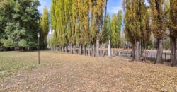 ¡Gran Oportunidad en Uspallata! Terreno + Casa – Inversión Turística Ideal!