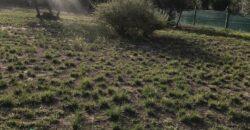 ¡¡ VENTA LOTE, HERMOSA ZONA, CHACRAS DE CORIA, VISTALBA- LUJAN DE CUYO MENDOZA!!