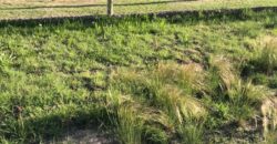 ¡¡ VENTA LOTE, HERMOSA ZONA, CHACRAS DE CORIA, VISTALBA- LUJAN DE CUYO MENDOZA!!