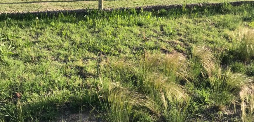 ¡¡ VENTA LOTE, HERMOSA ZONA, CHACRAS DE CORIA, VISTALBA- LUJAN DE CUYO MENDOZA!!