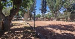 ¡¡EN VENTA, CAMPING BANCO PREVISIÓN SOCIAL!! USD 690.000