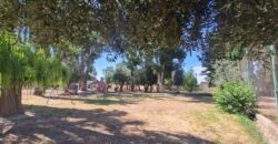 ¡¡EN VENTA, CAMPING BANCO PREVISIÓN SOCIAL!! USD 690.000