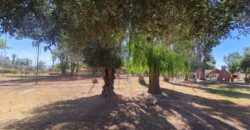 ¡¡EN VENTA, CAMPING BANCO PREVISIÓN SOCIAL!! USD 690.000