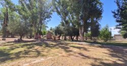 ¡¡EN VENTA, CAMPING BANCO PREVISIÓN SOCIAL!! USD 690.000