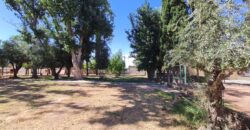 ¡¡EN VENTA, CAMPING BANCO PREVISIÓN SOCIAL!! USD 690.000