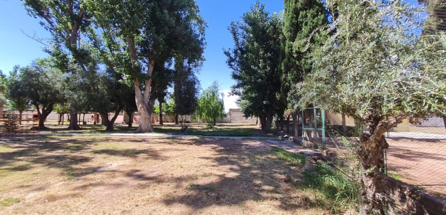 ¡¡EN VENTA, CAMPING BANCO PREVISIÓN SOCIAL!! USD 690.000
