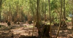 -VENTA DE TERRENO EN BARRIO BRISAS DEL VALLE, COLONIA LAS ROSAS, TUNUYÁN-