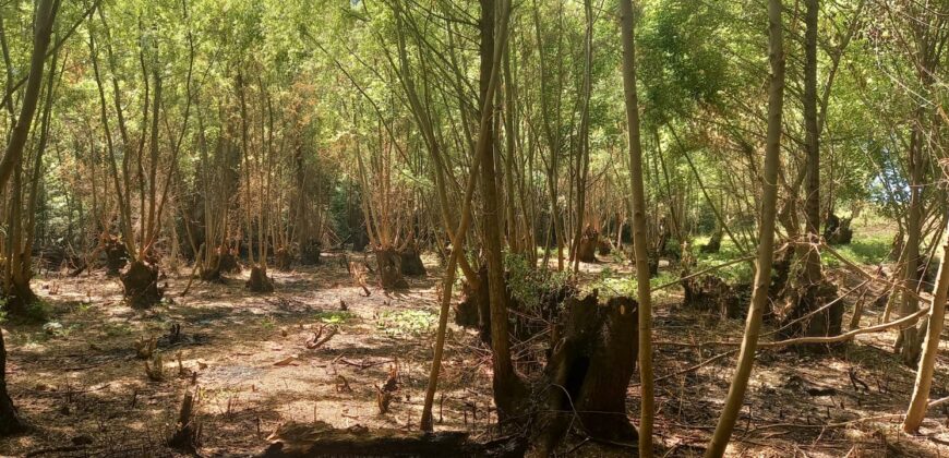 -VENTA DE TERRENO EN BARRIO BRISAS DEL VALLE, COLONIA LAS ROSAS, TUNUYÁN-