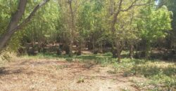 -VENTA DE TERRENO EN BARRIO BRISAS DEL VALLE, COLONIA LAS ROSAS, TUNUYÁN-