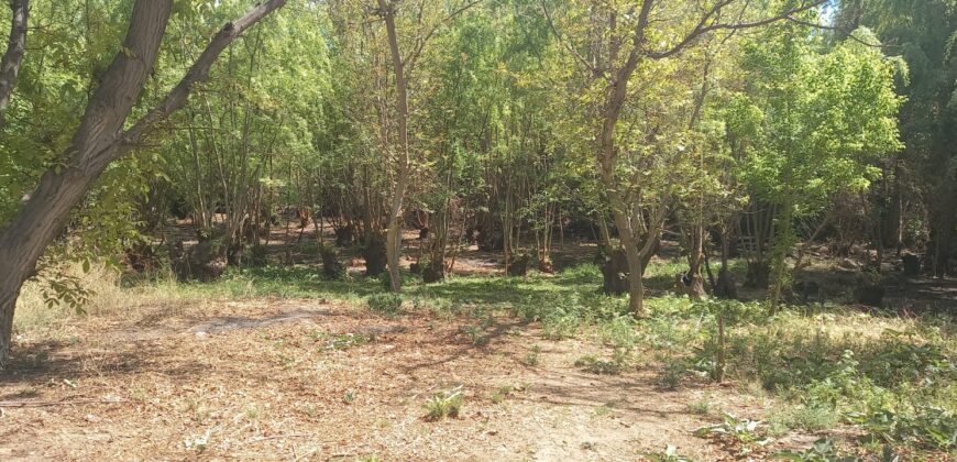 -VENTA DE TERRENO EN BARRIO BRISAS DEL VALLE, COLONIA LAS ROSAS, TUNUYÁN-